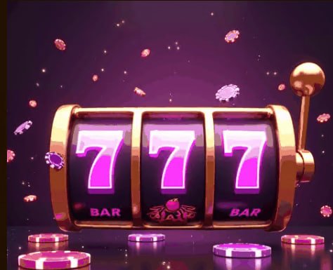 555win
